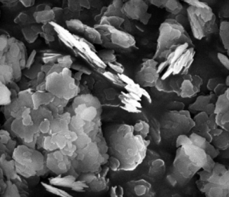 Clay Mineralogy