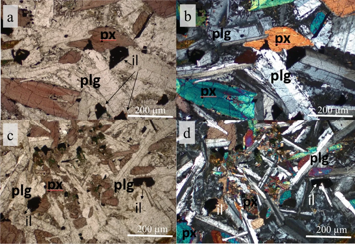 Fig 1: Petrographic photomicrographs of BS1 rock sample under plane polarized (a, c) and cross polarized light (b, d). px: clinopyroxene, plg: plagioclase, il: ilmenite