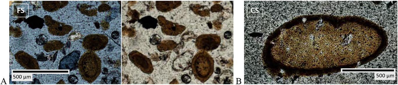 Optical thin sections of the PS-mixture in the (A) fine sand (FS) fraction with cross-polarized light (left) and plane polarized light (right) and (B) an optical thin section of a pseudosand in the coarse sand (CS) fraction.