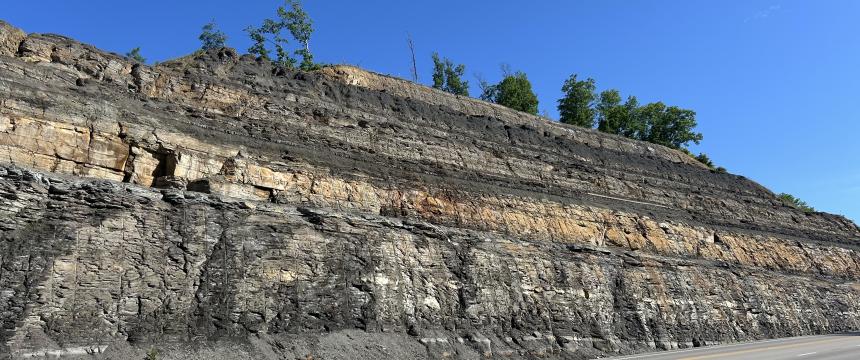 Roadcut from eastern Kentucky