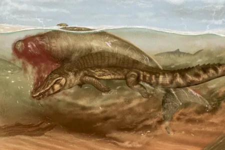 SCI/AM Article Image